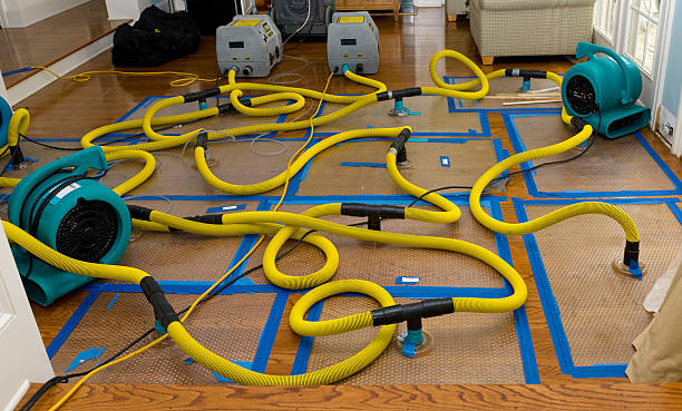 Professional Sewage Cleanup technician working in Saginaw, TX
